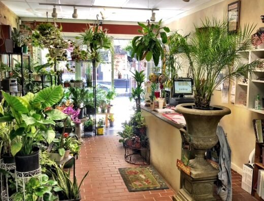 BLOSSOM SHOP