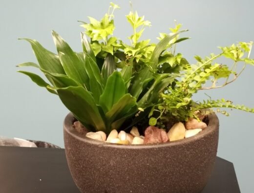 Christine’s Creations Flower Shop