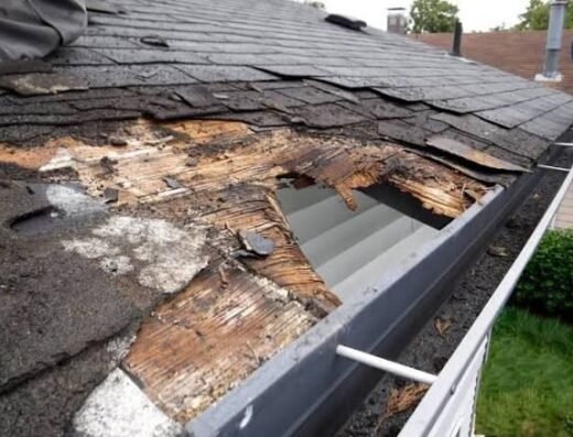 Giant Roofing